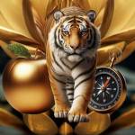 Lu Sansa Profile Picture